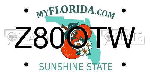 Z80OTW Florida License Plate