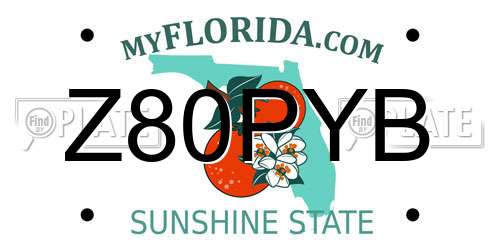 Z80PYB Florida License Plate