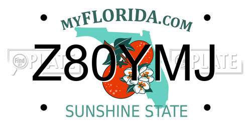 Z80YMJ Florida License Plate