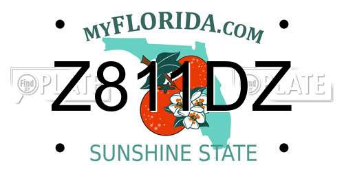 Z811DZ Florida License Plate