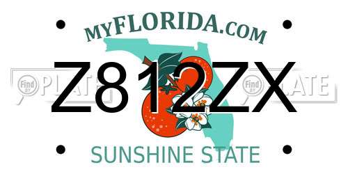 Z812ZX Florida License Plate