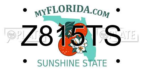 Z815TS Florida License Plate