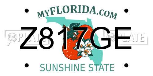 Z817GE Florida License Plate