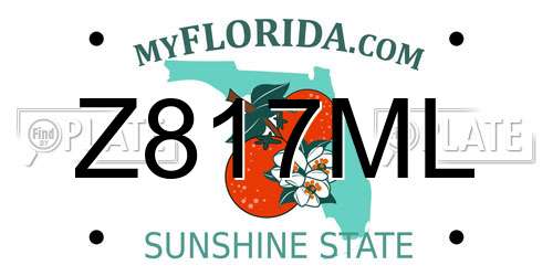 Z817ML Florida License Plate