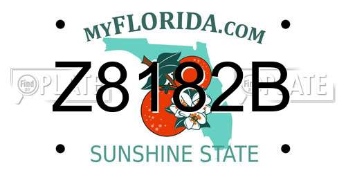 Z8182B Florida License Plate