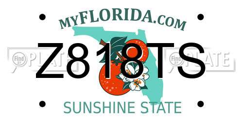 Z818TS Florida License Plate