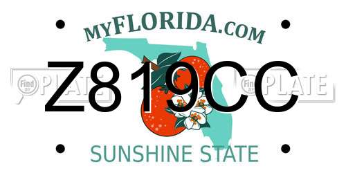 Z819CC Florida License Plate