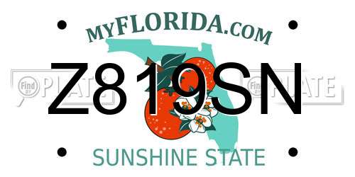 Z819SN Florida License Plate