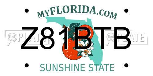 Z81BTB Florida License Plate