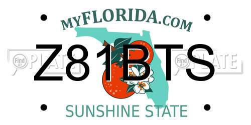 Z81BTS Florida License Plate