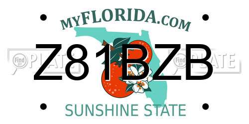 Z81BZB Florida License Plate