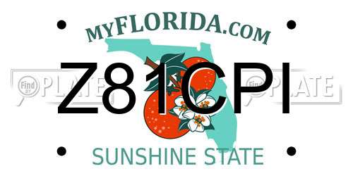 Z81CPI Florida License Plate