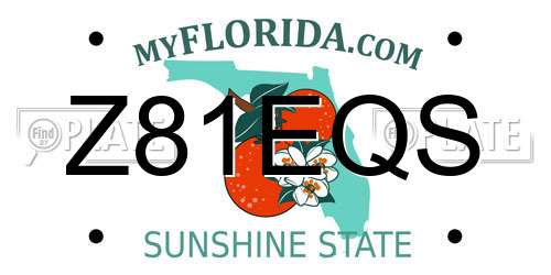 Z81EQS Florida License Plate