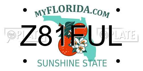 Z81FUL Florida License Plate