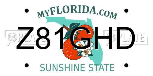 Z81GHD Florida License Plate