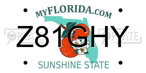 Z81GHY Florida License Plate