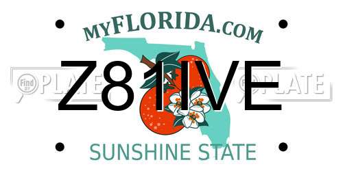 Z81IVE Florida License Plate