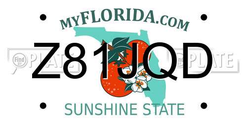 Z81JQD Florida License Plate