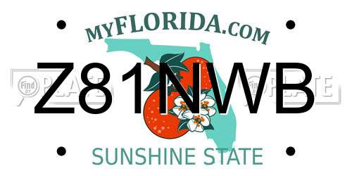 Z81NWB Florida License Plate