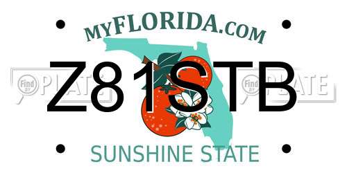 Z81STB Florida License Plate