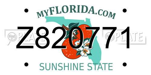 Z820771 Florida License Plate