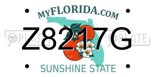 Z8217G Florida License Plate