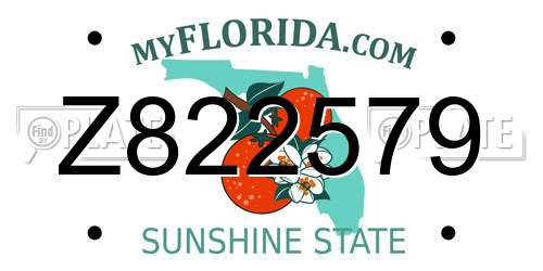 Z822579 Florida License Plate
