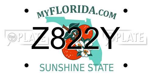 Z822Y Florida License Plate