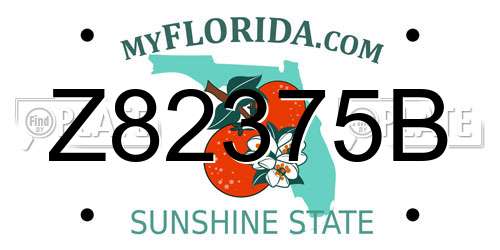 Z82375B Florida License Plate