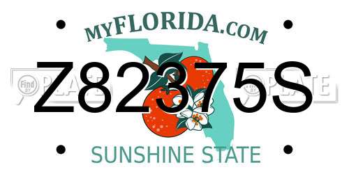 Z82375S Florida License Plate