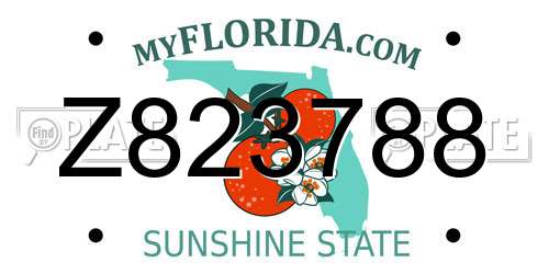 Z823788 Florida License Plate