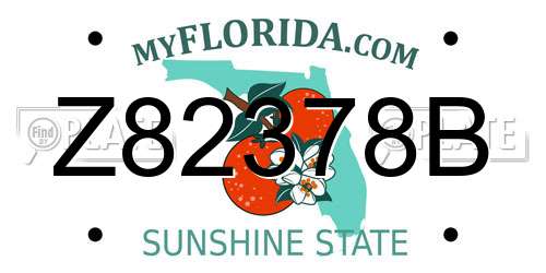 Z82378B Florida License Plate