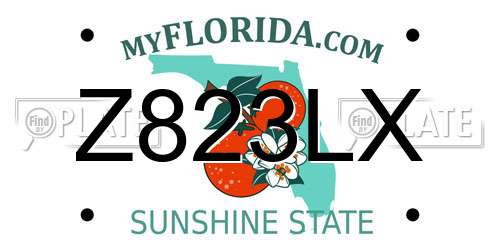 Z823LX Florida License Plate