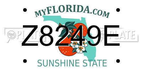Z8249E Florida License Plate
