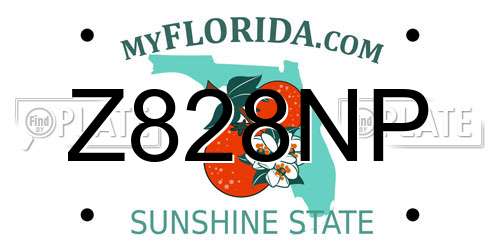 Z828NP Florida License Plate