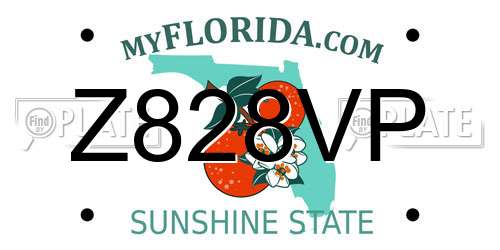 Z828VP Florida License Plate
