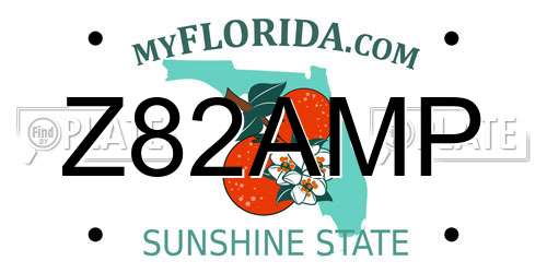 Z82AMP Florida License Plate