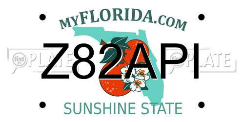 Z82API Florida License Plate