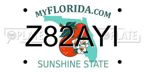 Z82AYI Florida License Plate