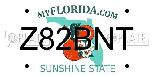 Z82BNT Florida License Plate