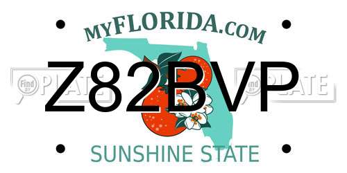 Z82BVP Florida License Plate