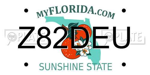 Z82DEU Florida License Plate