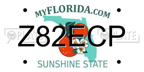 Z82ECP Florida License Plate