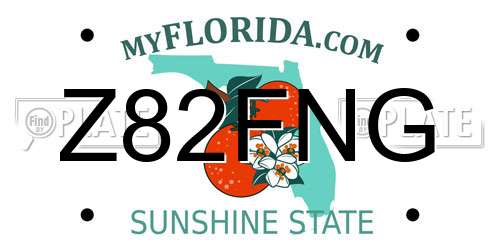 Z82FNG Florida License Plate