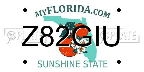 Z82GIU Florida License Plate