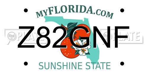 Z82GNF Florida License Plate
