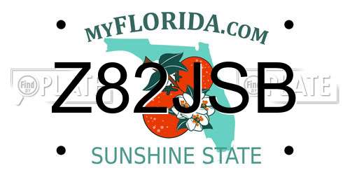 Z82JSB Florida License Plate