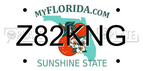 Z82KNG Florida License Plate