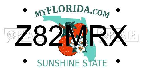 Z82MRX Florida License Plate