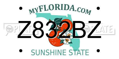 Z832BZ Florida License Plate